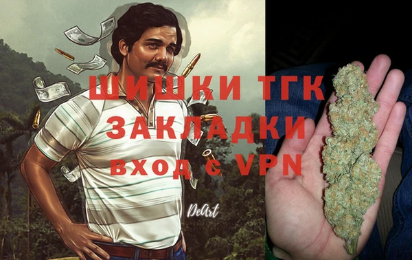 мет Алексин