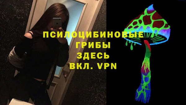 МДМА Алексеевка