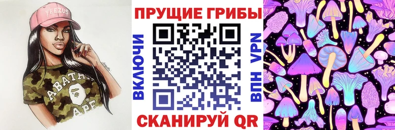 Галлюциногенные грибы прущие грибы  Лодейное Поле 